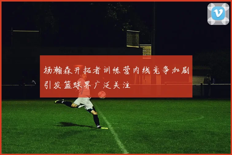 杨瀚森开拓者训练营内线竞争加剧引发篮球界广泛关注