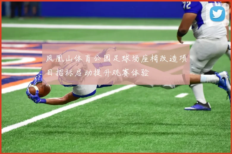 凤凰山体育公园足球场座椅改造项目招标启动提升观赛体验